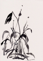 http://www.soerenhiob.com/files/gimgs/th-99_4  6.jpg